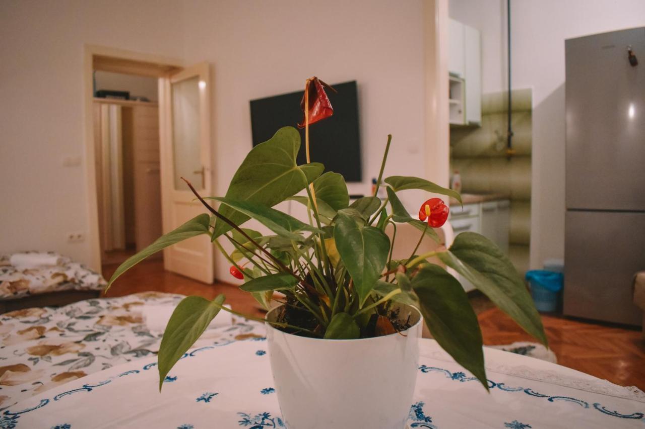 Nina Apartment ซาราเยโว ภายนอก รูปภาพ